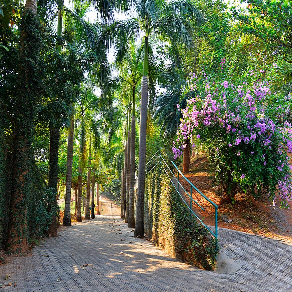 Madukkauzhy Ayurveda – Lake & Mountain Healing Island